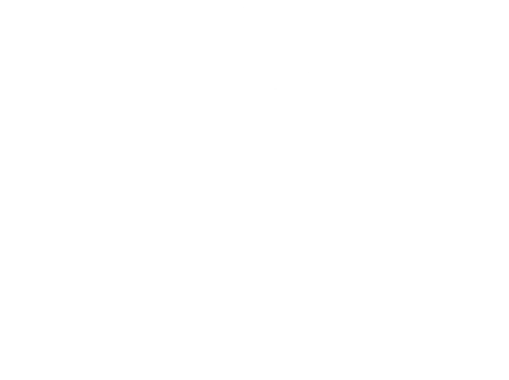 Logo Banner
